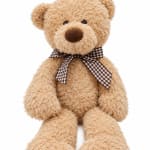 Tan teddy bear with a checkered ribbon bow