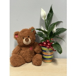 Teddy bear beside a potted peace lily with a ribbon