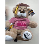 Graduation teddy bear wearing a cap and pink sweater