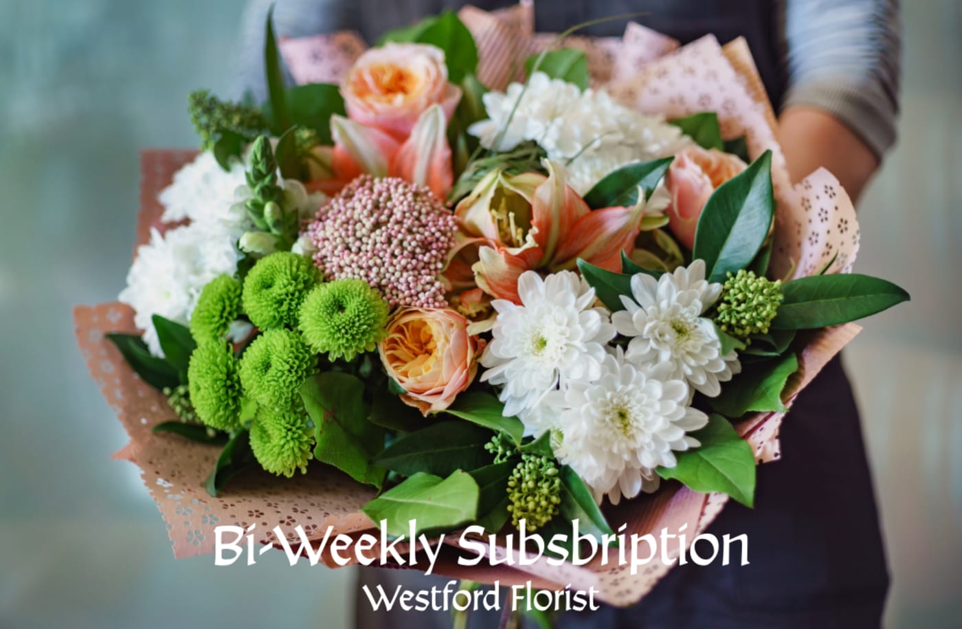bi-weekly subscription