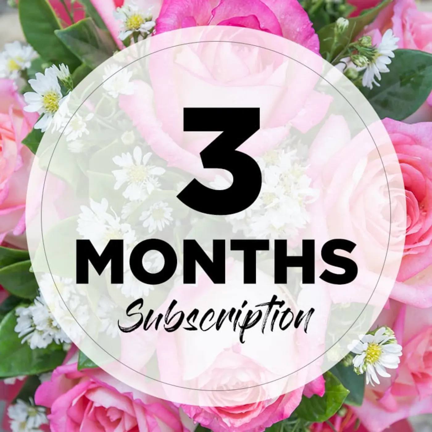 3 month sub