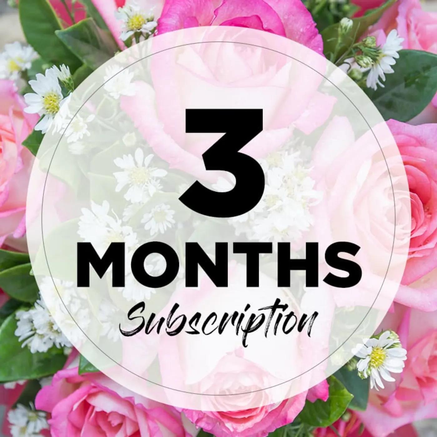 3 month sub