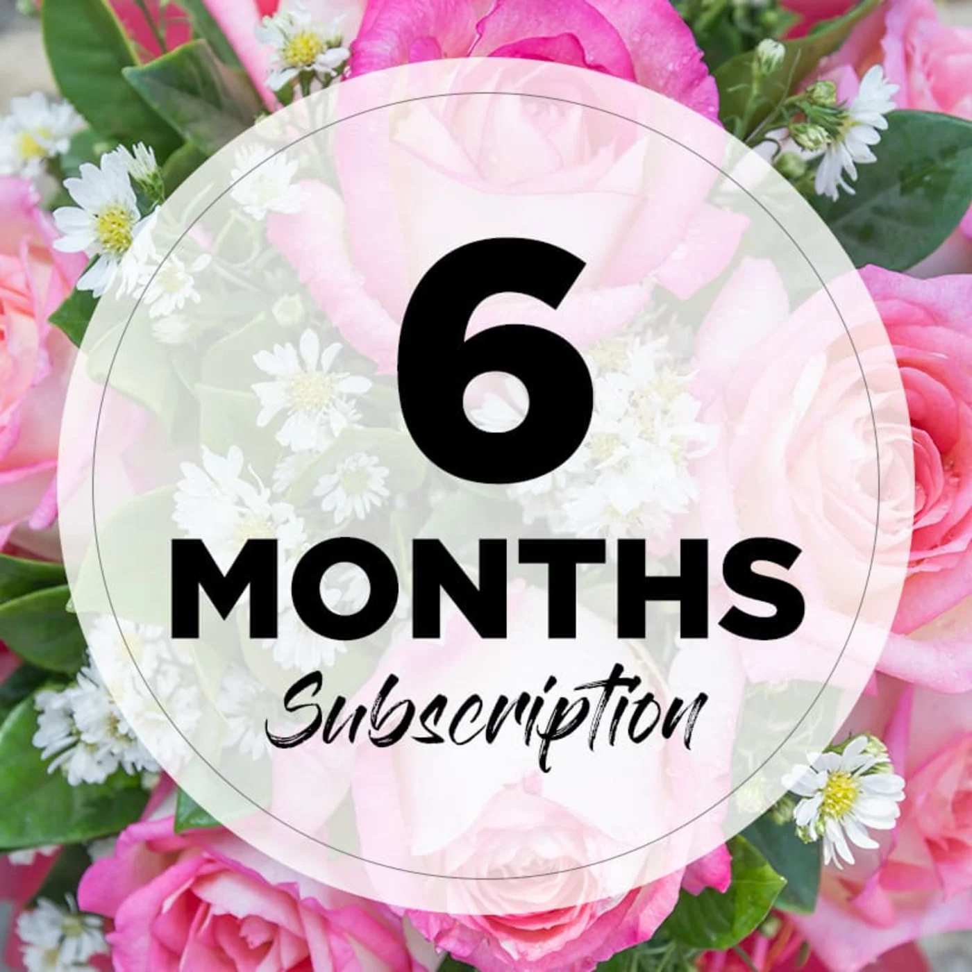 6 month sub