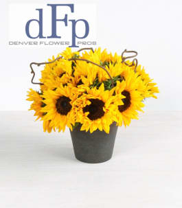 Local Sunflowers And Kiwi Vine By Denver Flower Pros