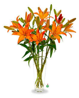 Lovely Lilies in Metter, GA | The Flower Gallery