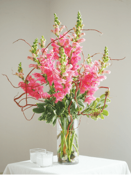 Sydney In St Paul Mn Your Enchanted Florist