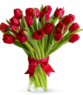 20+ Flower Shop Silver Spring Md