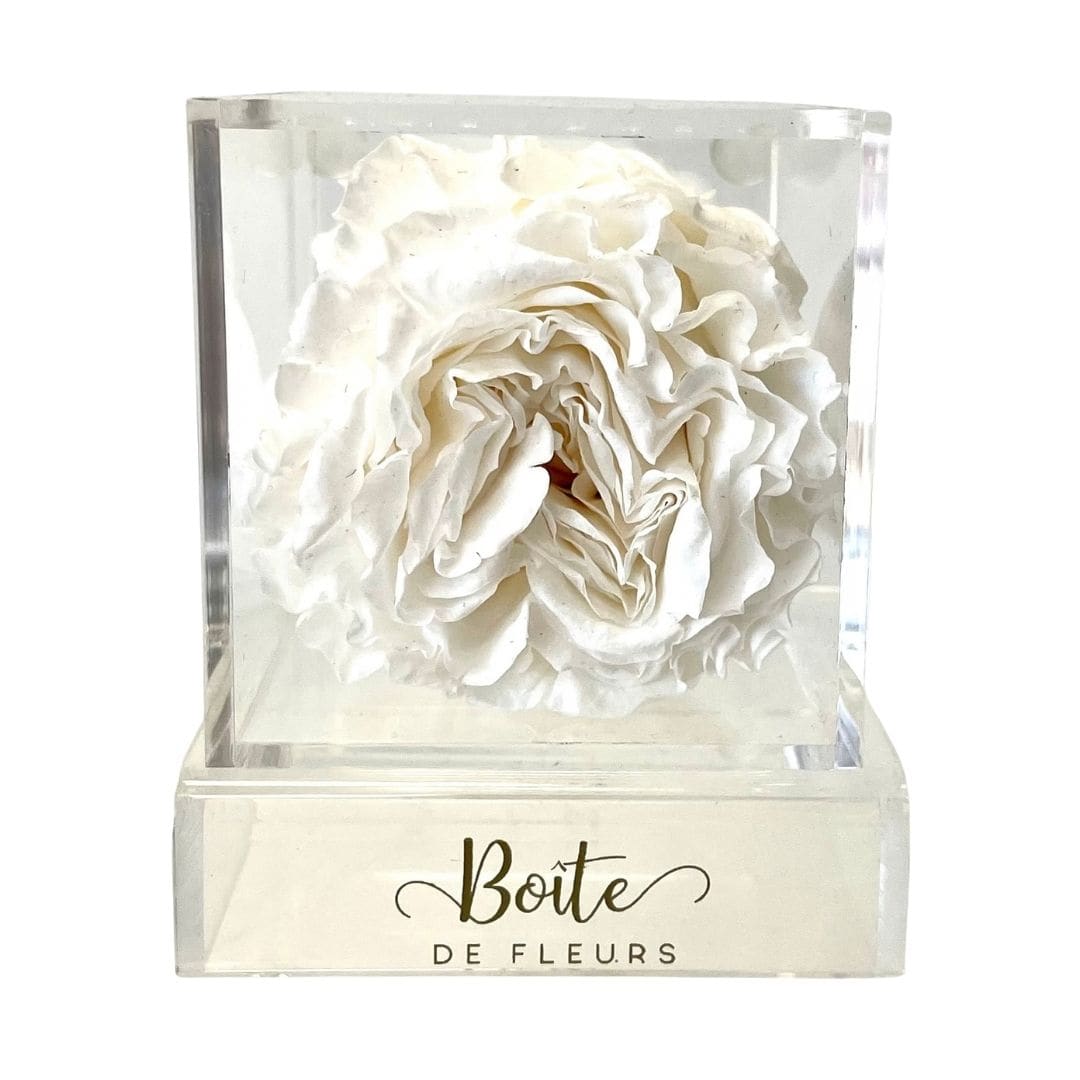 White rose in a clear acrylic box with a logo on the base