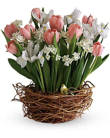 Arrangement of pink tulips and white flowers in a twig nest basket with a small bird accent
