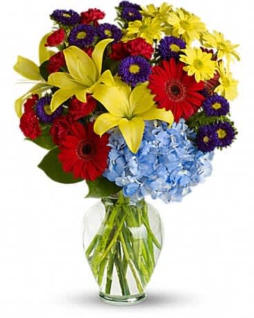Bright mixed bouquet with yellow lilies, red gerbera daisies, blue hydrangea and purple asters in a clear glass vase