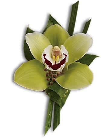 Green cymbidium orchid boutonniere with burgundy and white center and linear foliage