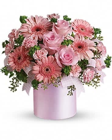 Pink arrangement of gerbera daisies, roses, and carnations in a pale pink cylinder container with ribbon