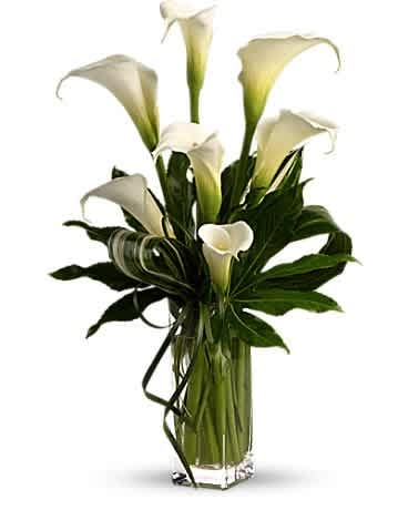 Tall arrangement of white calla lilies with bold green leaves in a clear glass vase