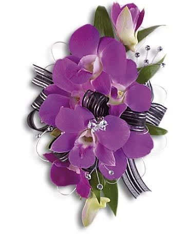 Purple orchid corsage with black and white striped ribbon and rhinestone accents