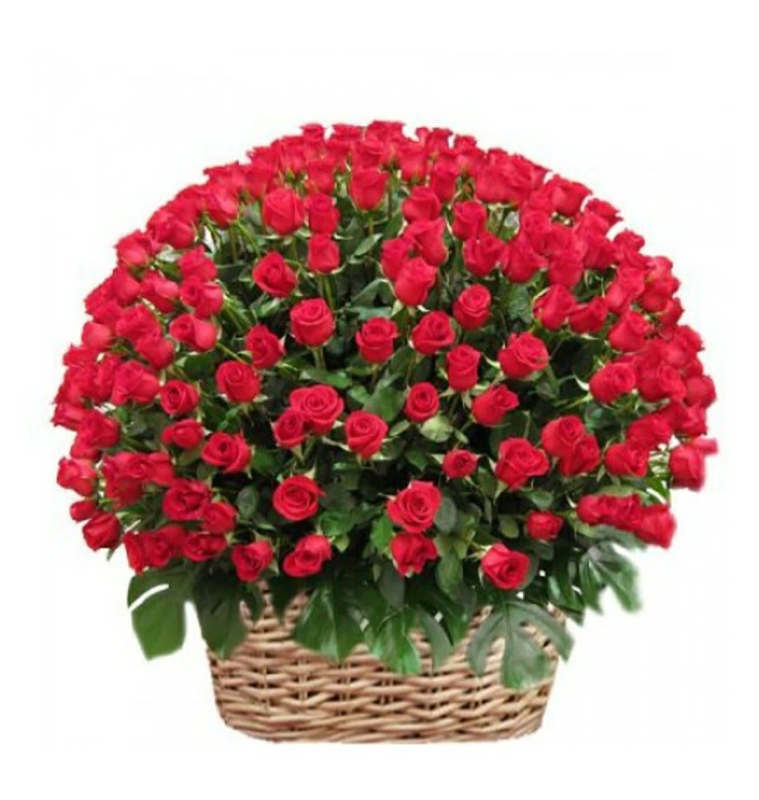 Basket of red roses arranged in a dome shape