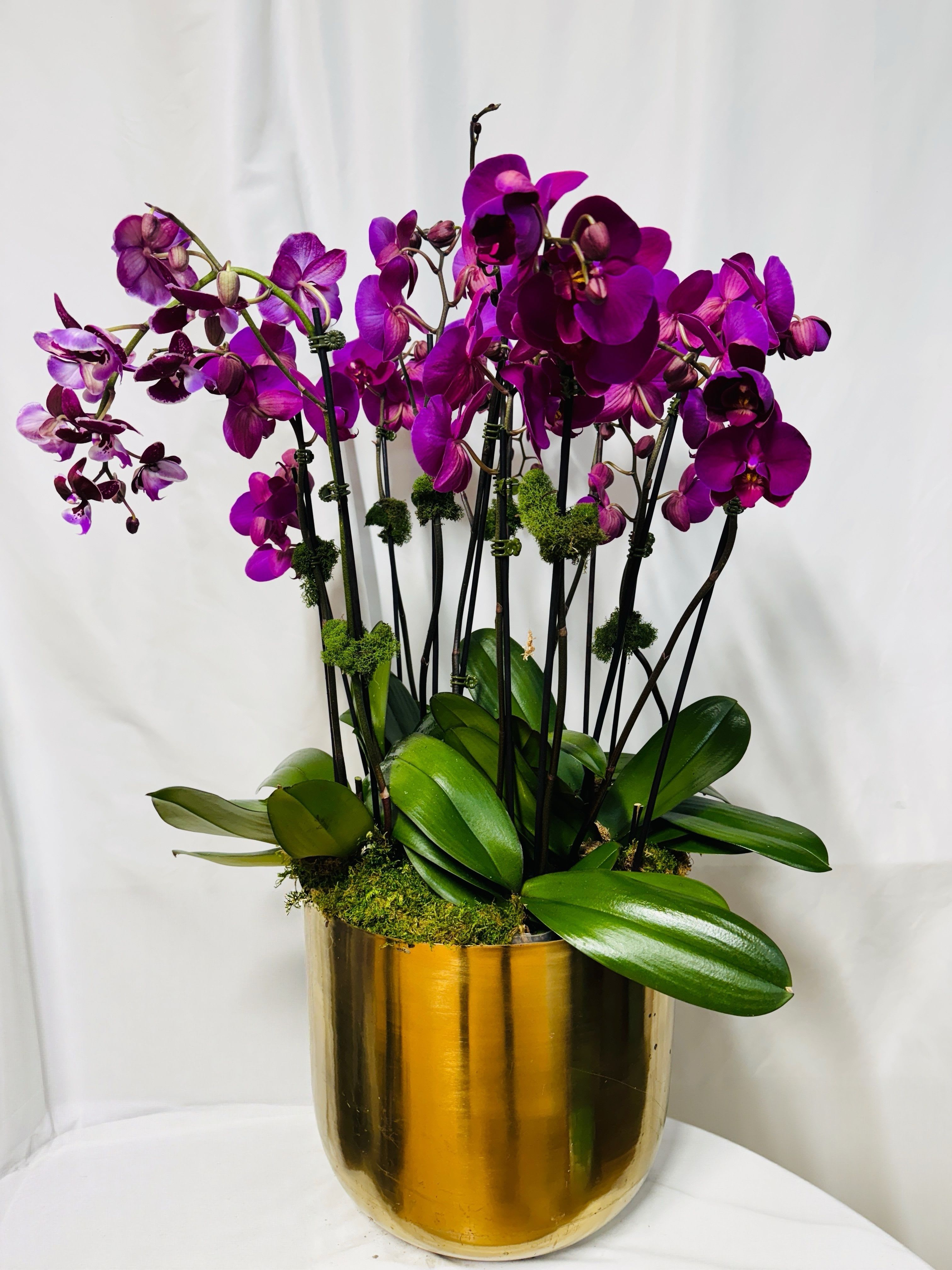 Tall planter of vivid purple orchids in a shiny gold pot
