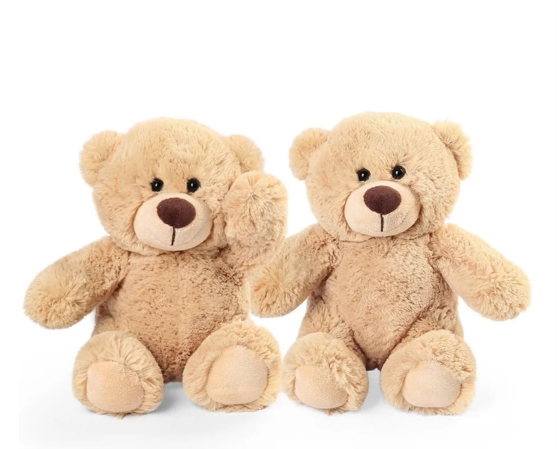 Two beige teddy bears sitting side by side on a white background