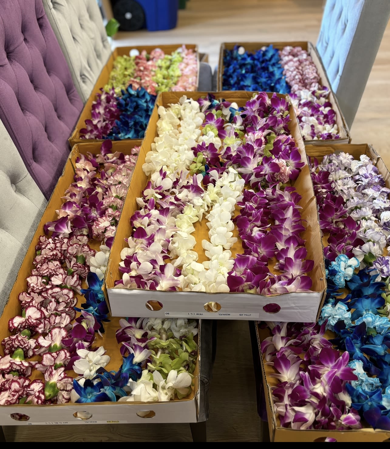 Boxes filled with purple, white, blue, and pink orchid blooms