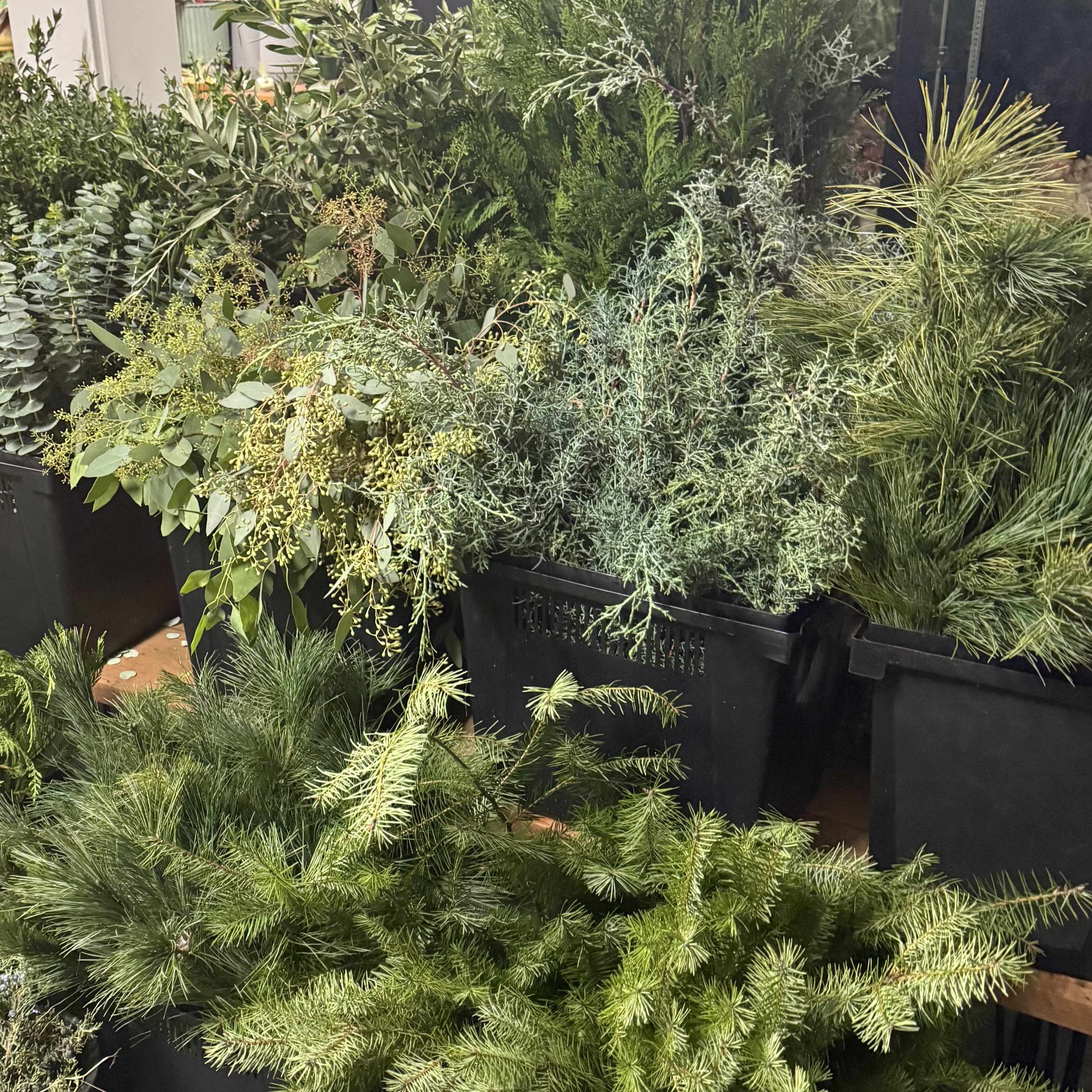 Bundles of assorted green foliage and pine branches in black bins