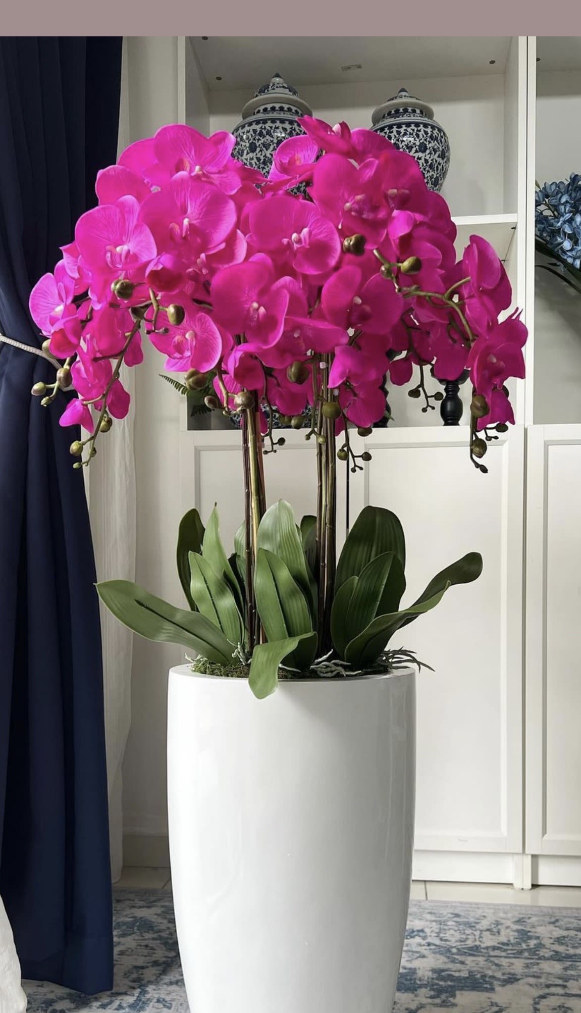 Fuchsia Orchid Majesty – Same Day Delivery - A luxurious arrangement of vibrant fuchsia Phalaenopsis orchids beautifully displayed in a tall white ceramic planter. Featuring cascading blooms, rich green foliage, and a contemporary design, this elegant orchid garden is perfect for celebrating special moments, enhancing interior spaces, or sending a memorable gift. Available with same-day delivery.