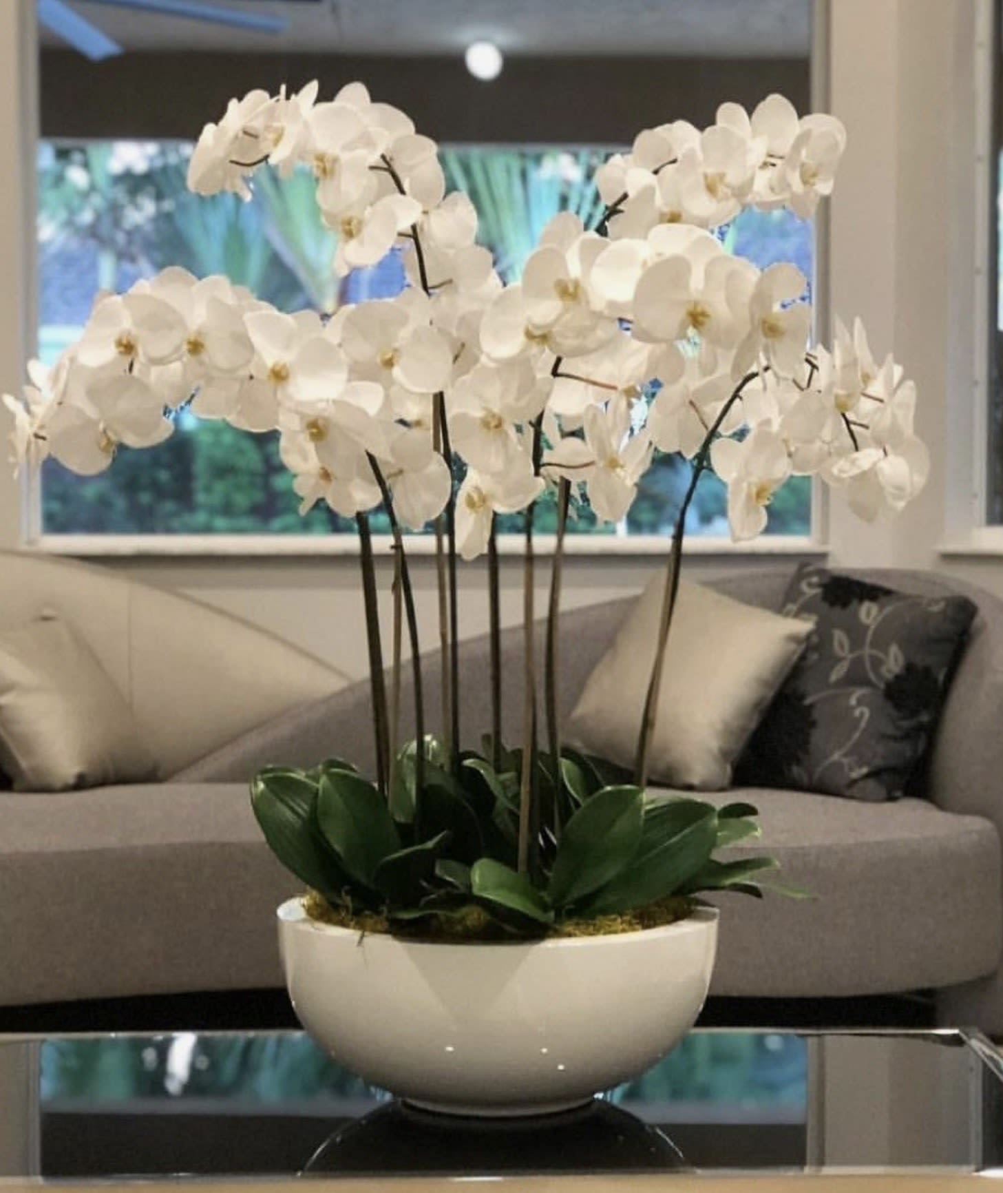 Snowfall Orchid Symphony – Same Day Delivery - A breathtaking arrangement of pristine white Phalaenopsis orchids elegantly presented in a modern white ceramic bowl. Symbolizing purity, peace, and refined beauty, this luxurious orchid garden creates a sophisticated focal point for homes, offices, and special occasions. Carefully designed for lasting enjoyment, it is a perfect gift for life’s most meaningful moments and is available with same-day delivery.