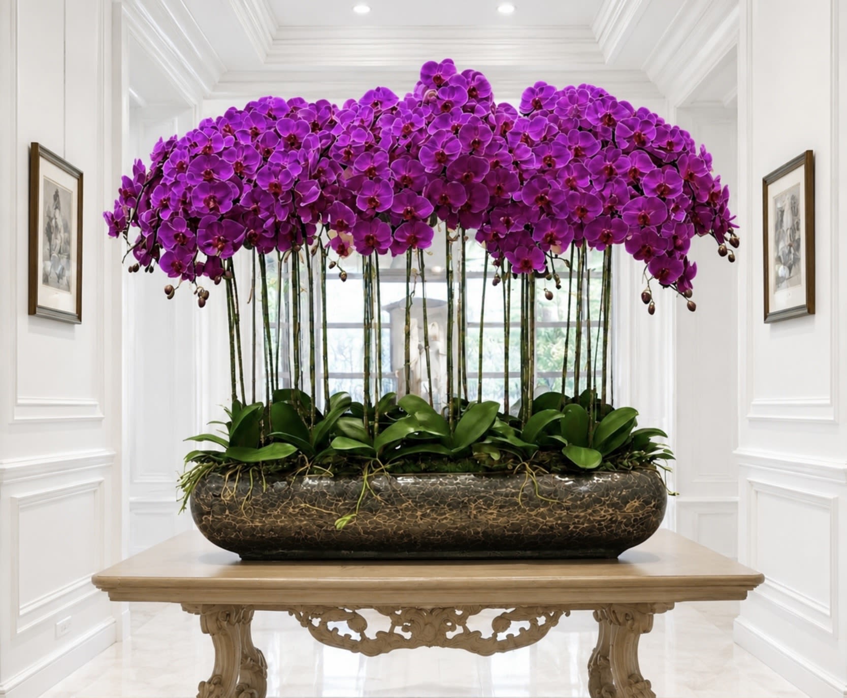 Luxury Purple Orchid Arrangement – Same-Day Delivery Available - Make a bold statement of elegance with the Imperial Purple Orchid Grandeur, a breathtaking arrangement featuring an abundance of premium purple Phalaenopsis orchids artfully displayed in a luxurious elongated planter. Designed for upscale homes, hotel lobbies, executive offices, and grand entrances, this spectacular orchid presentation brings sophistication, color, and timeless beauty to any interior space.  The planter measures 40 inches long, 10 inches wide, and 10 inches high, while the arrangement creates an impressive 60-inch front-facing visual display, delivering a dramatic and luxurious presence from every angle. Rich purple orchid blooms cascade gracefully above lush green foliage, creating a striking balance of modern design and natural beauty.  Dimensions:  * Planter Size: 40” L × 10” W × 10” H * Front View Display Width: Approximately 60” * View: Front-Facing Presentation  Perfect for luxury residences, corporate settings, hotels, and special events where an unforgettable floral centerpiece is desired. Each arrangement is handcrafted to showcase the exceptional beauty and elegance of premium purple orchids.