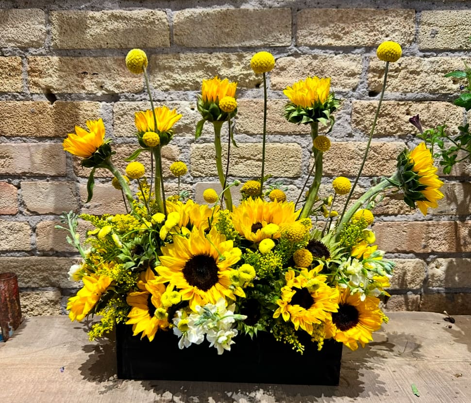 Yellow sunflowers and button mums arranged in a black rectangular container