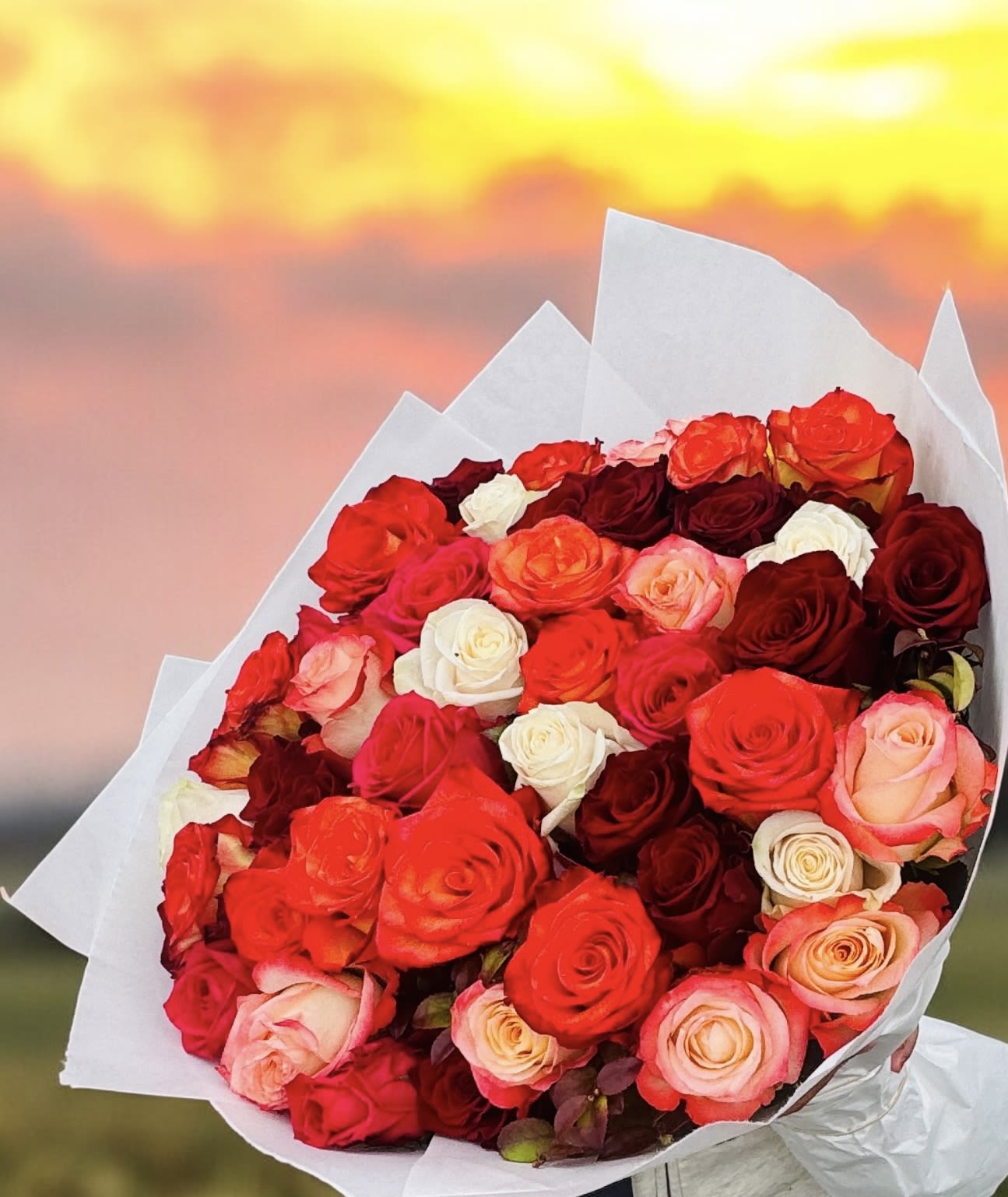 Bouquet of red, pink, peach, and white roses wrapped in white paper
