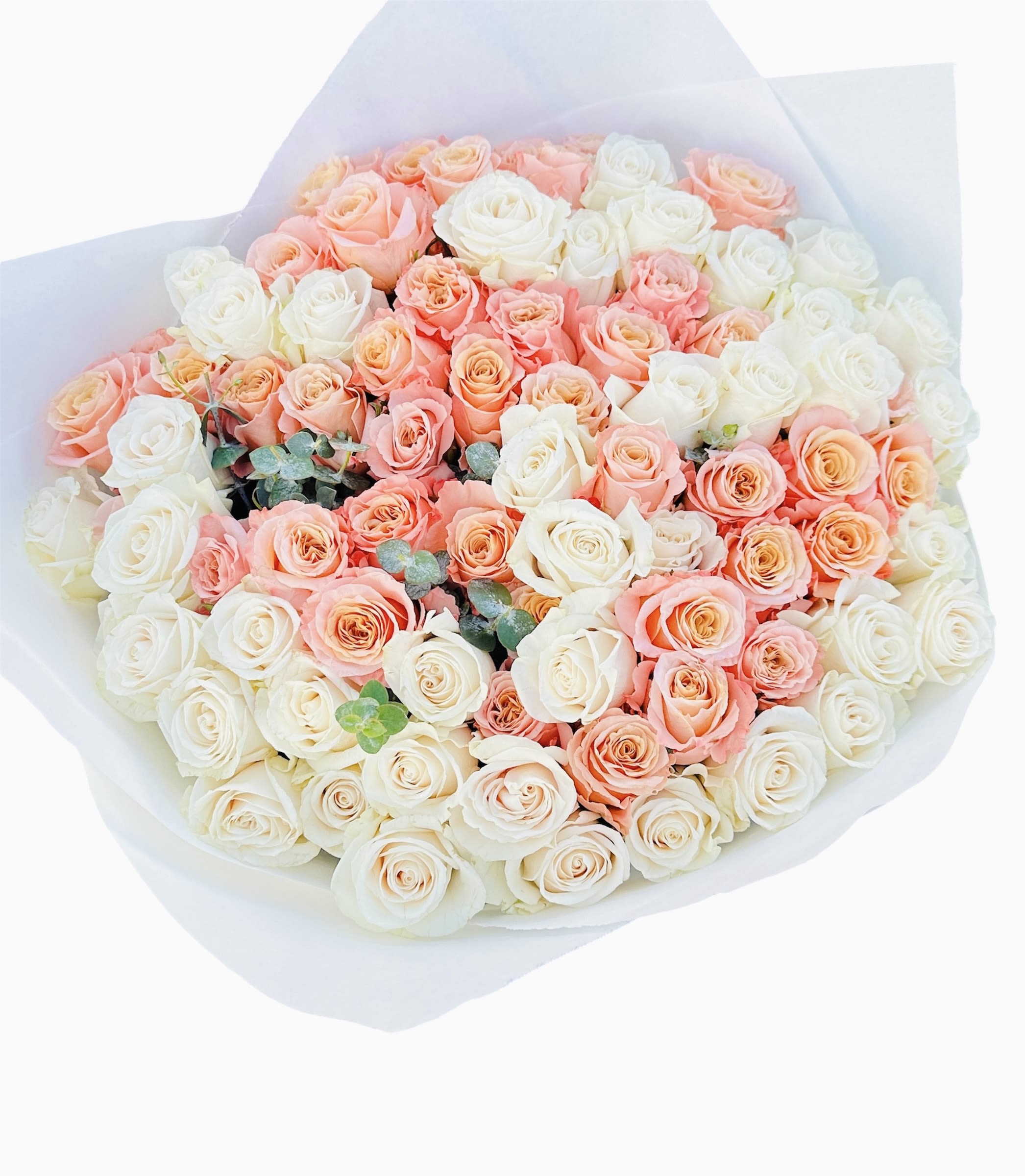 Bouquet of pink and white roses wrapped in white paper