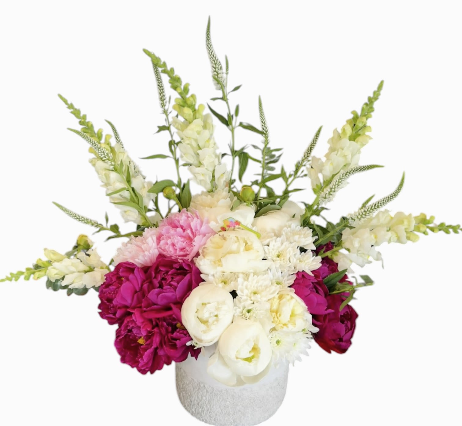   Seasonal Splendor - Tall white snapdragon spikes rise above a lush cloud of pink, magenta, cream and purple blooms in this flower arrangement-perfect as a spring celebration bouquet, birthday gift, or thoughtful thank-you. The upright snapdragons give graceful height and a fresh, airy silhouette, while the rounded mass of carnations and chrysanthemums creates an abundant, feminine focal point that will make the recipient feel noticed and celebrated.  Hand-arranged in a textured white vase, the composition pairs crisp whites and soft greens with vivid pinks and purples for lively contrast and seasonally hopeful color. The mix includes snapdragons, carnations, chrysanthemums and complementary filler florals to build depth and a layered, garden-like texture; the white vase keeps the look elegant and easy to place on a mantle or dining table. Sized to deliver visual impact without overwhelming a room, this arrangement arrives ready to display-simply add fresh water and rotate occasionally to keep blooms looking their best.
