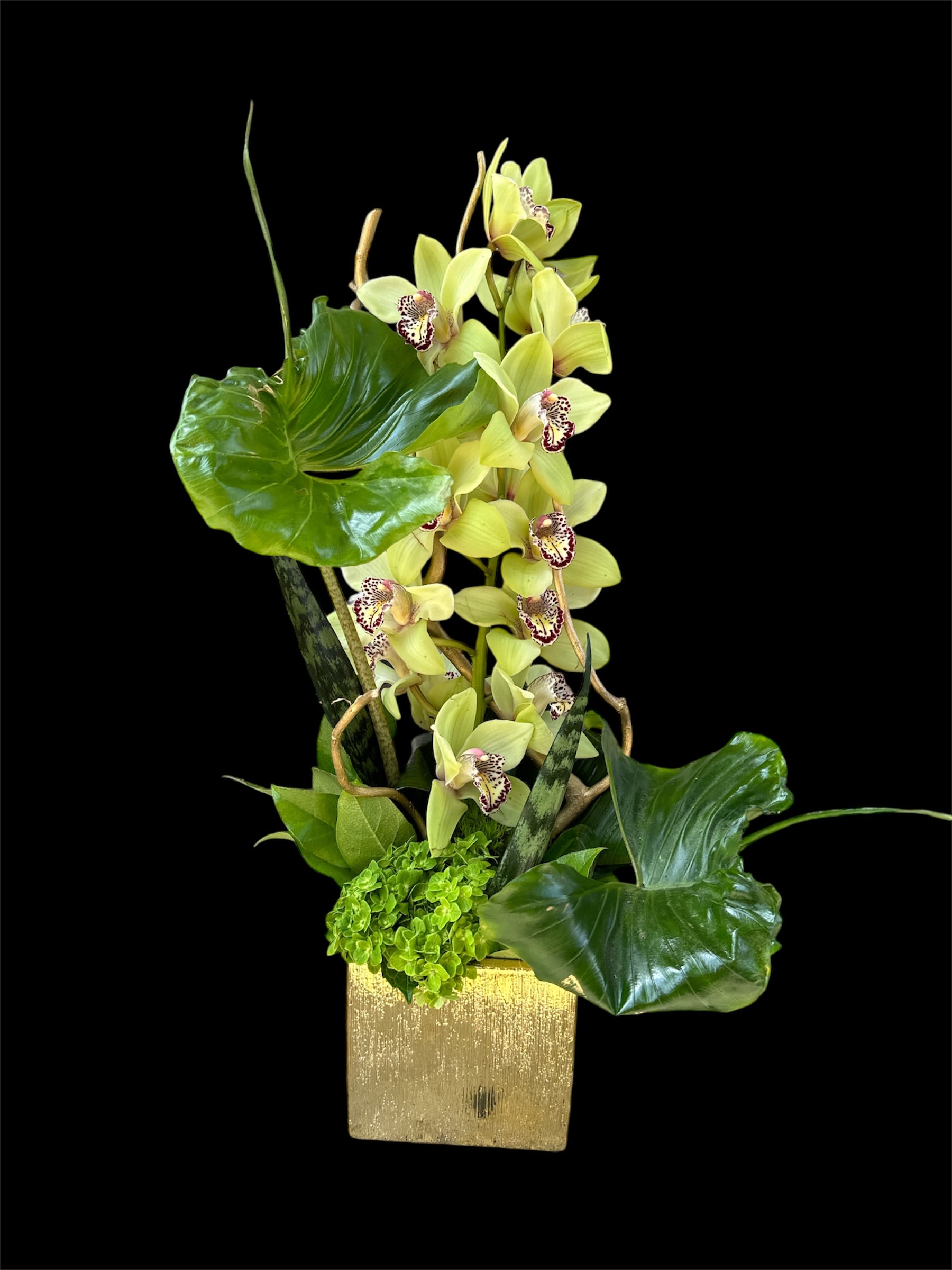 Yellow orchids in a gold square vase with large green leaves