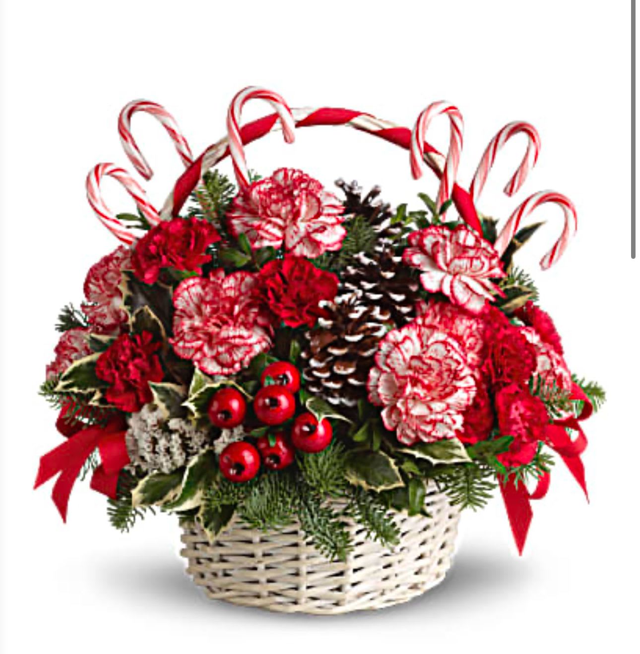 Basket of red carnations with candy canes and pinecones