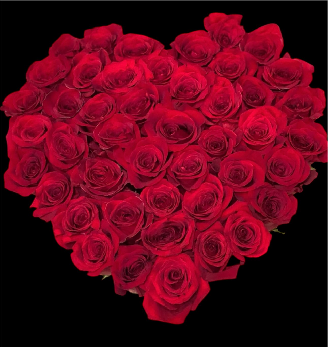 Heart-shaped bouquet of red roses on a black background
