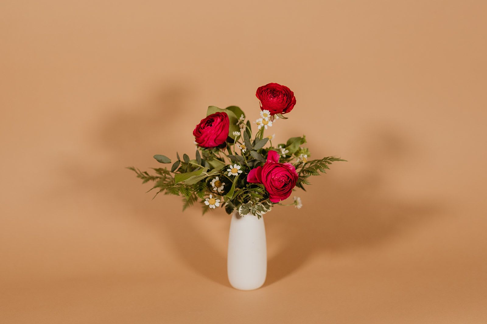 Red ranunculus and small white daisies in a white vase
