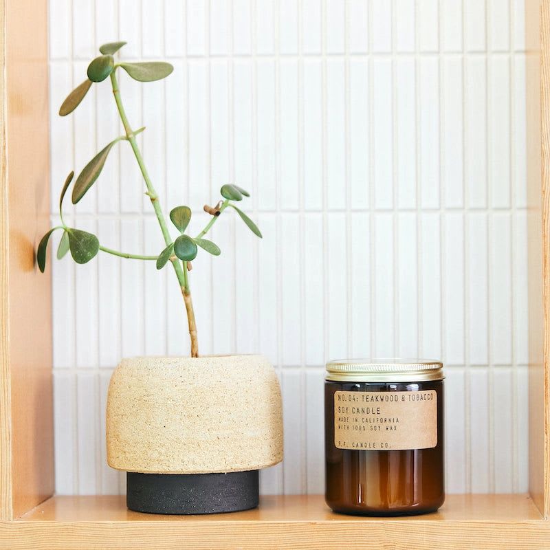 Small potted succulent beside a jar candle on a wooden shelf