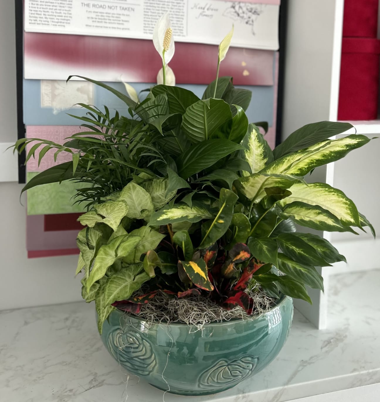 Potted green plant arrangement in a teal ceramic bowl
