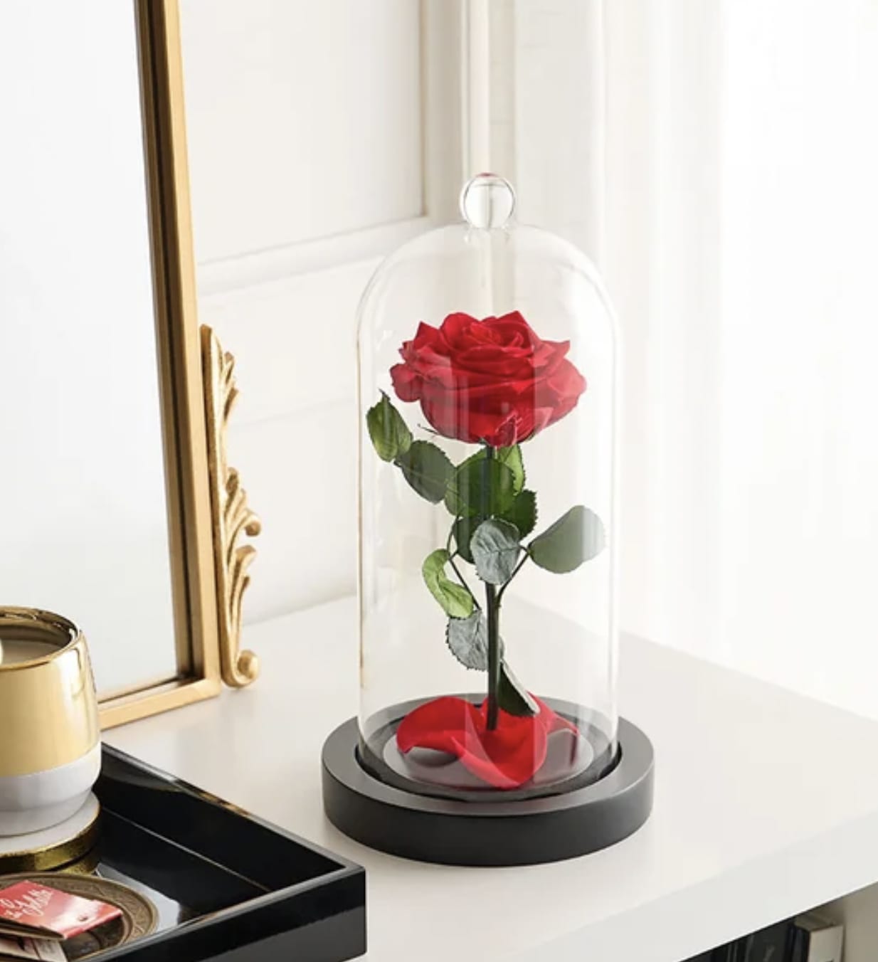 Single red rose under a glass dome on a black base
