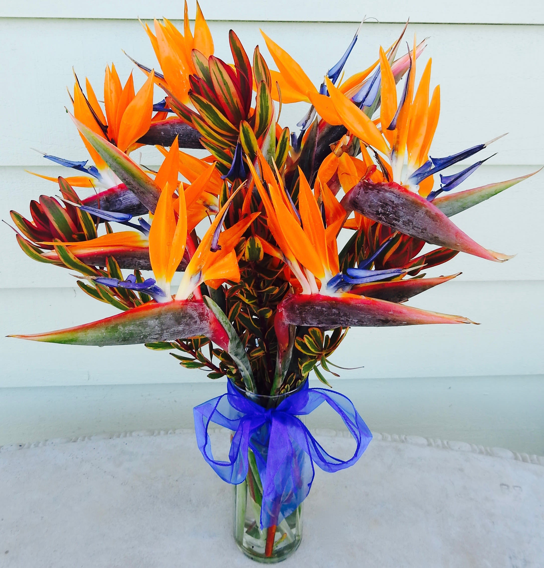 Tall bouquet of orange and purple tropical flowers in a glass vase with a blue ribbon.