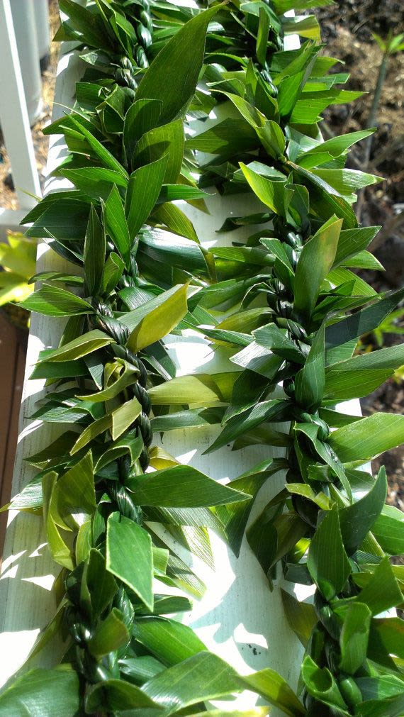 Braided green leaf leis laid out in parallel on a light surface.