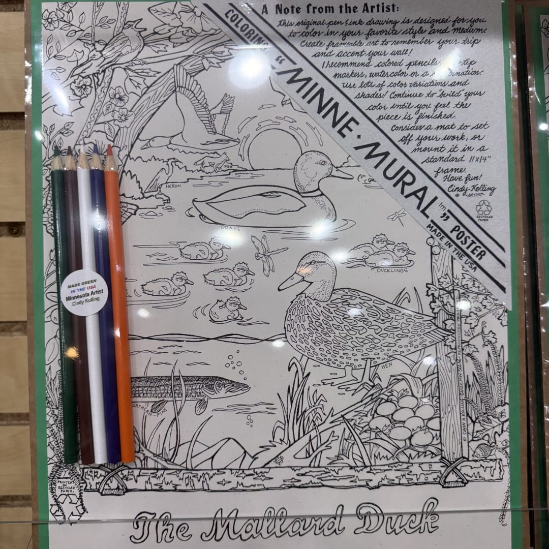 Coloring poster of ducks and marsh birds with colored pencils on top