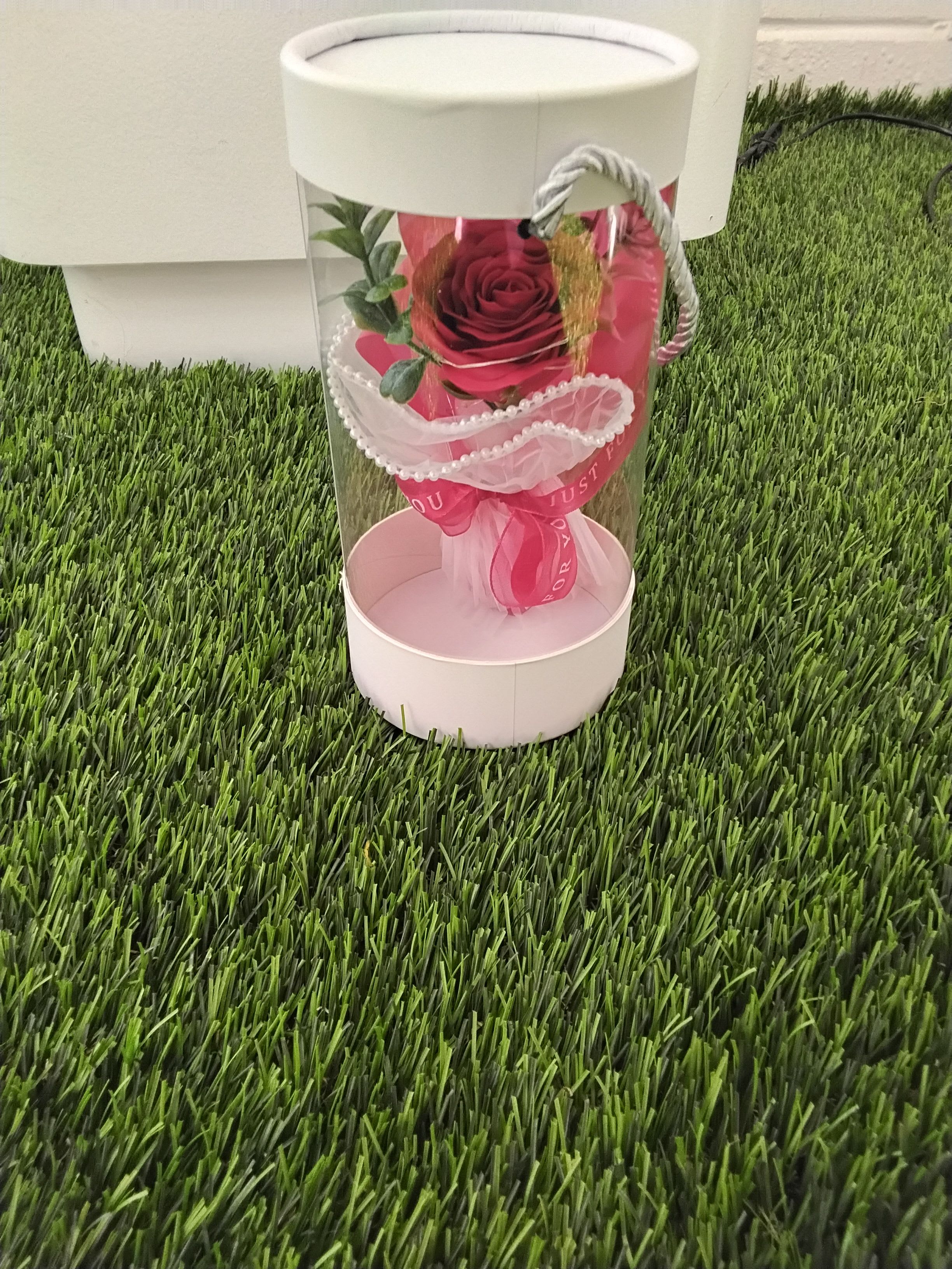 Single red rose in a clear gift box with pink ribbon