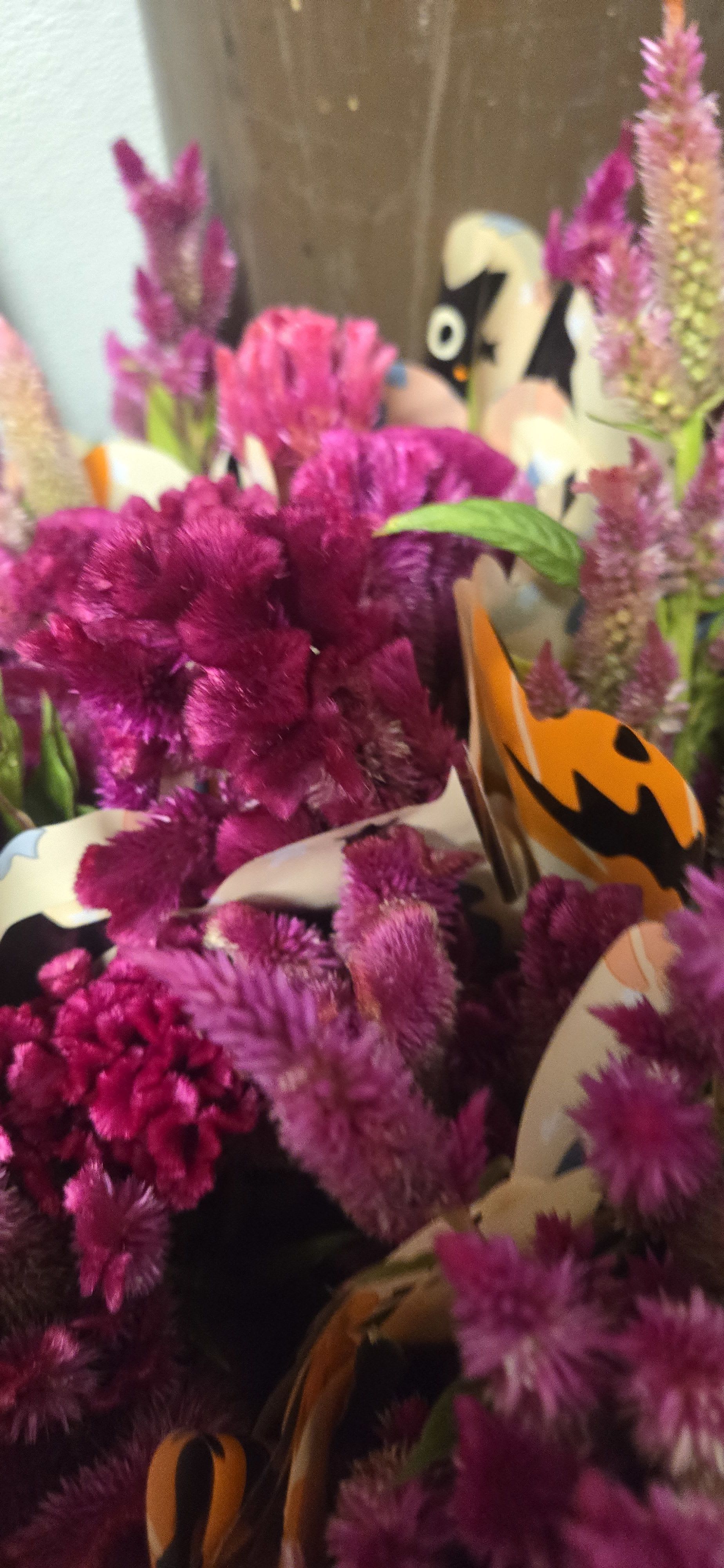 Bouquets of magenta and purple feathery flowers wrapped in patterned paper