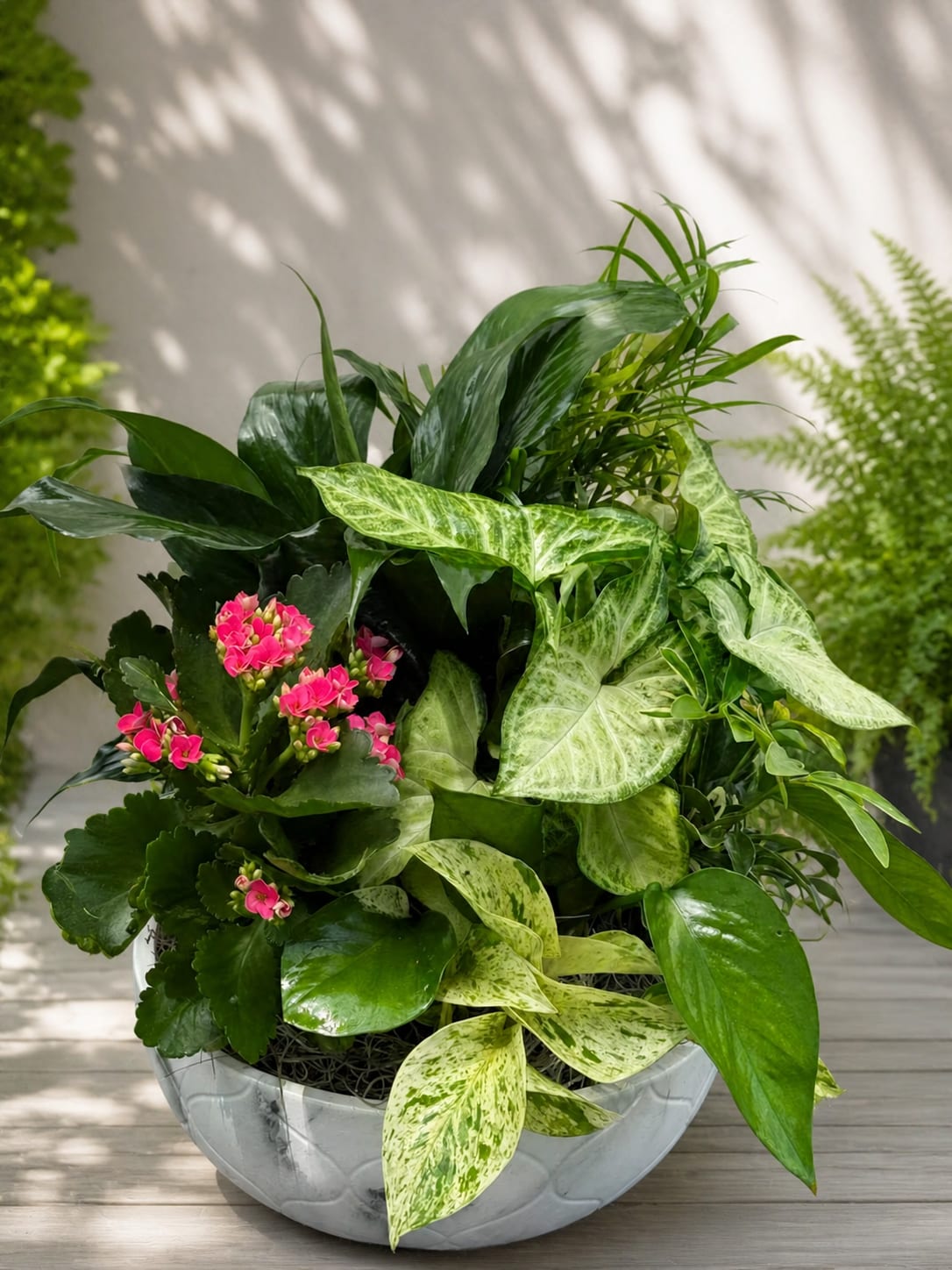 Mixed green plant arrangement with pink blooms in a white bowl planter