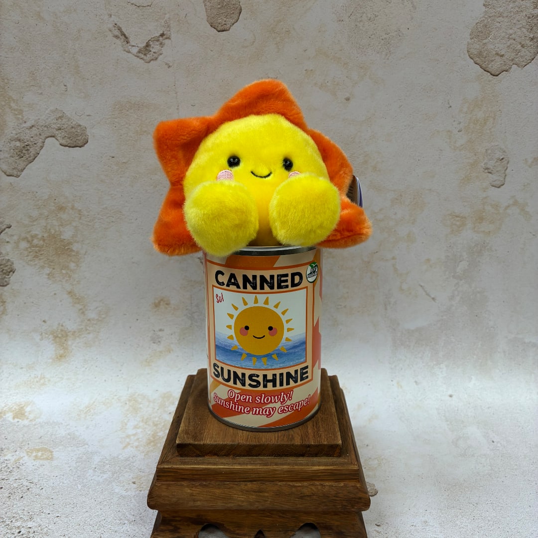 Plush sun toy in a labeled can on a wooden stand