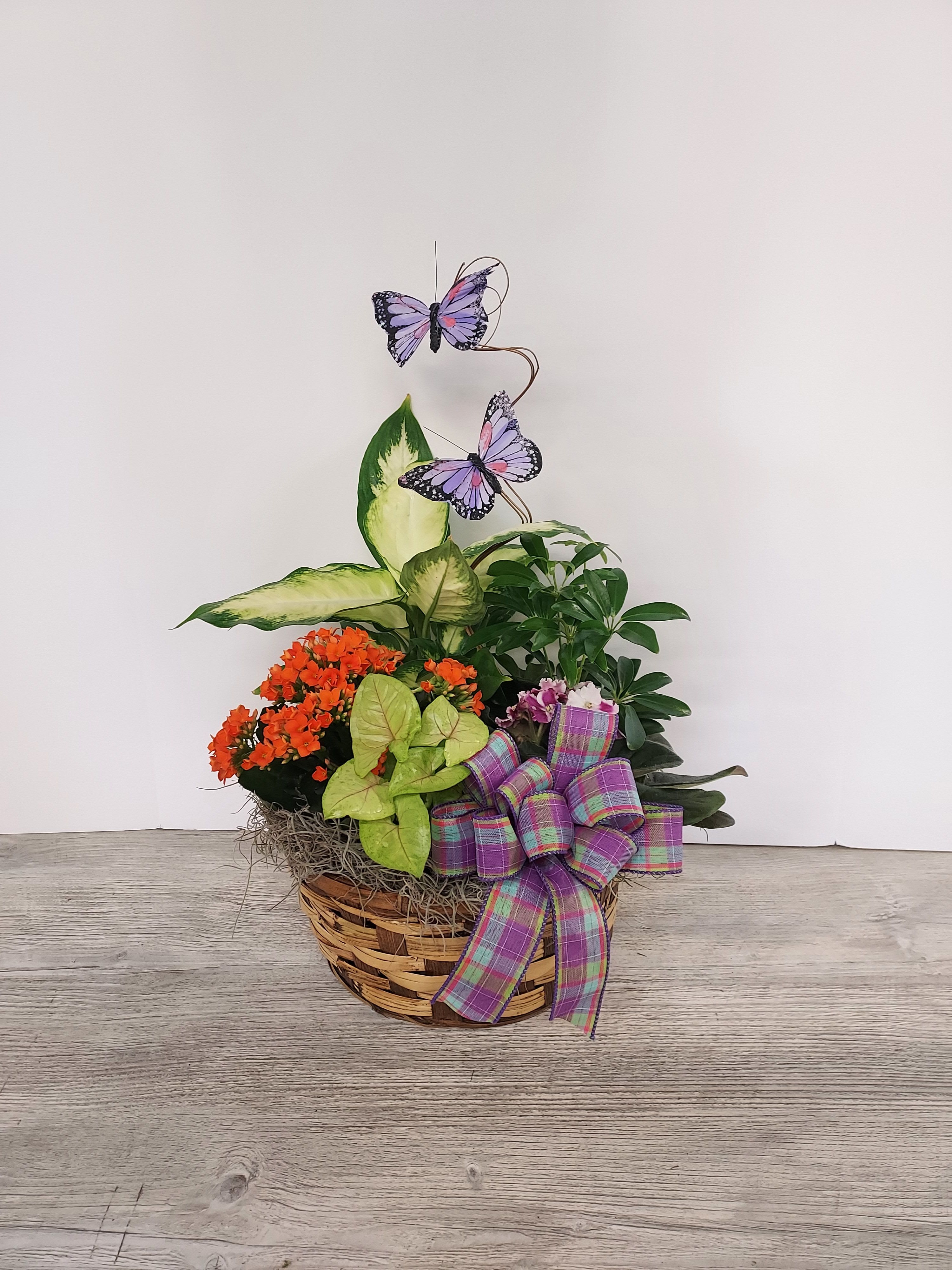 Basket of mixed green plants with orange blooms, purple butterflies, and a plaid bow.