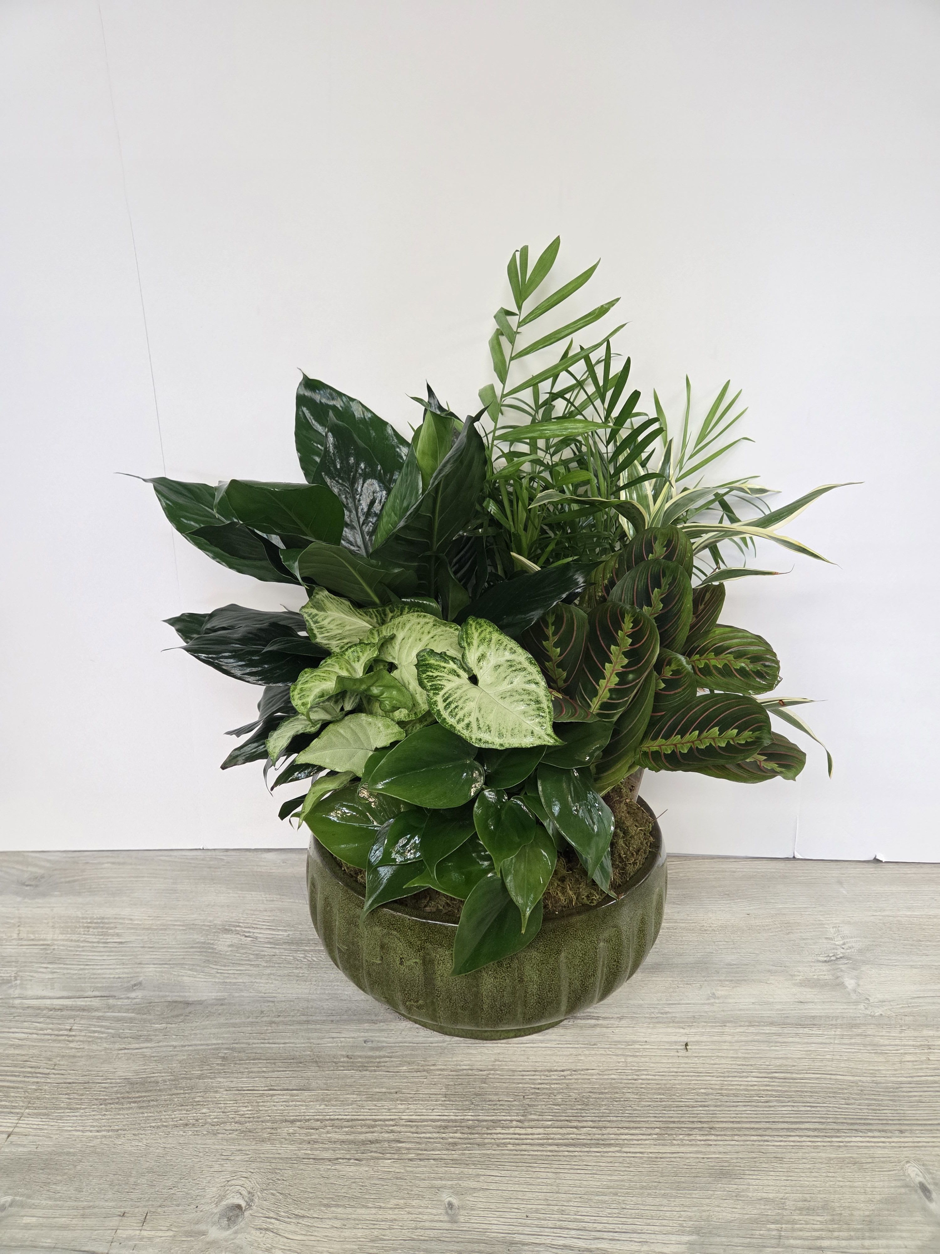 Mixed green houseplants arranged in a round green ceramic bowl