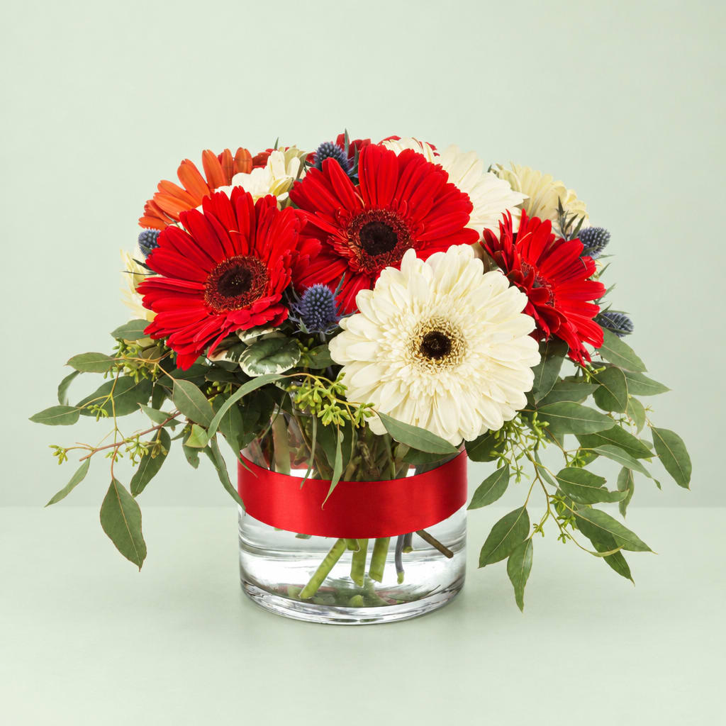 Red, white, and orange gerbera daisies in a glass vase with a red ribbon