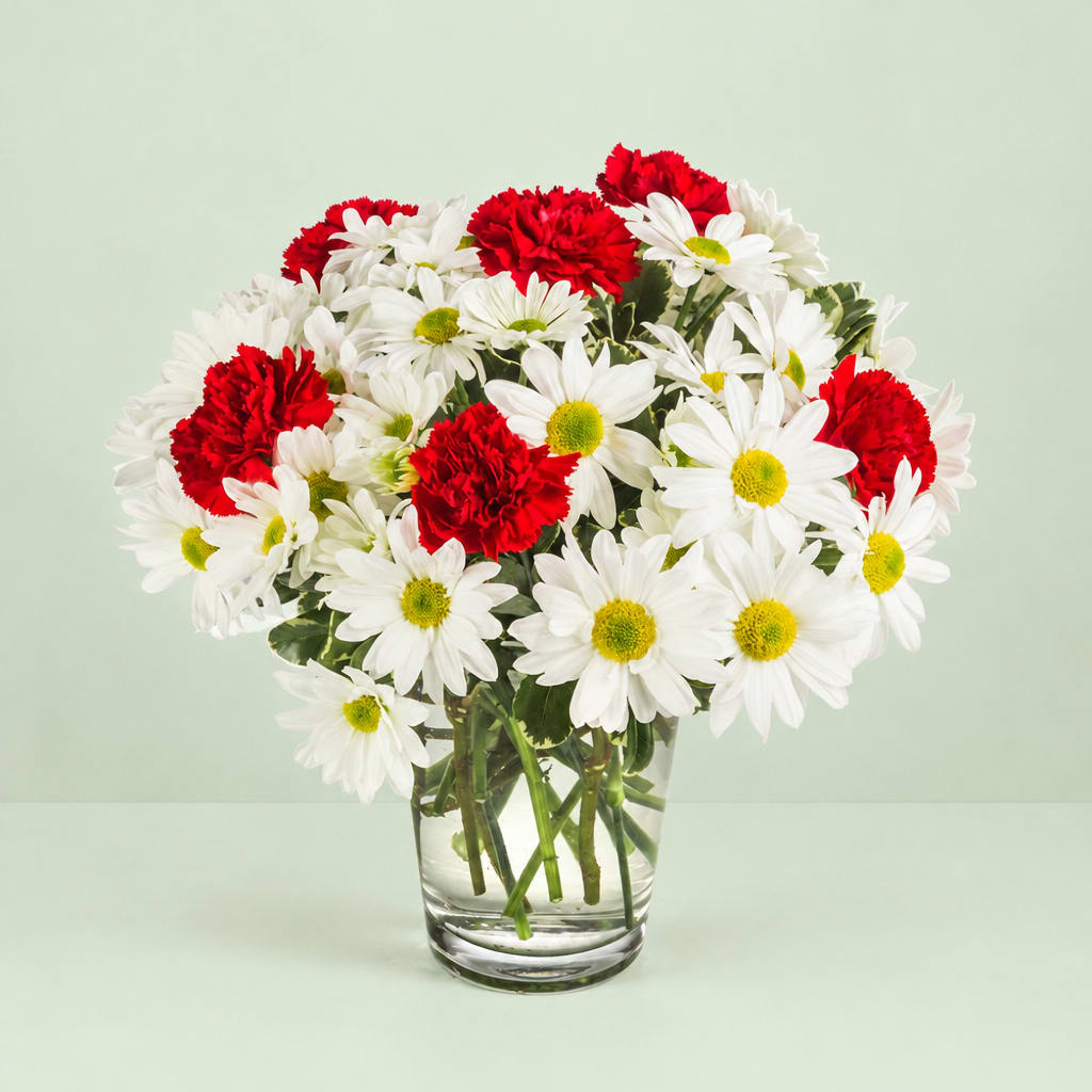 Red carnations and white daisies in a clear glass vase