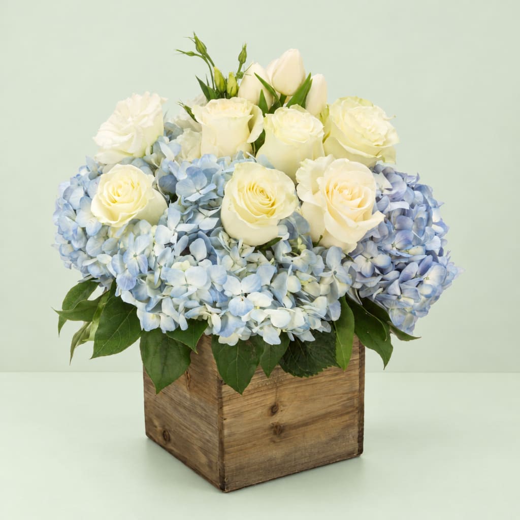 White roses and blue hydrangeas in a wooden box