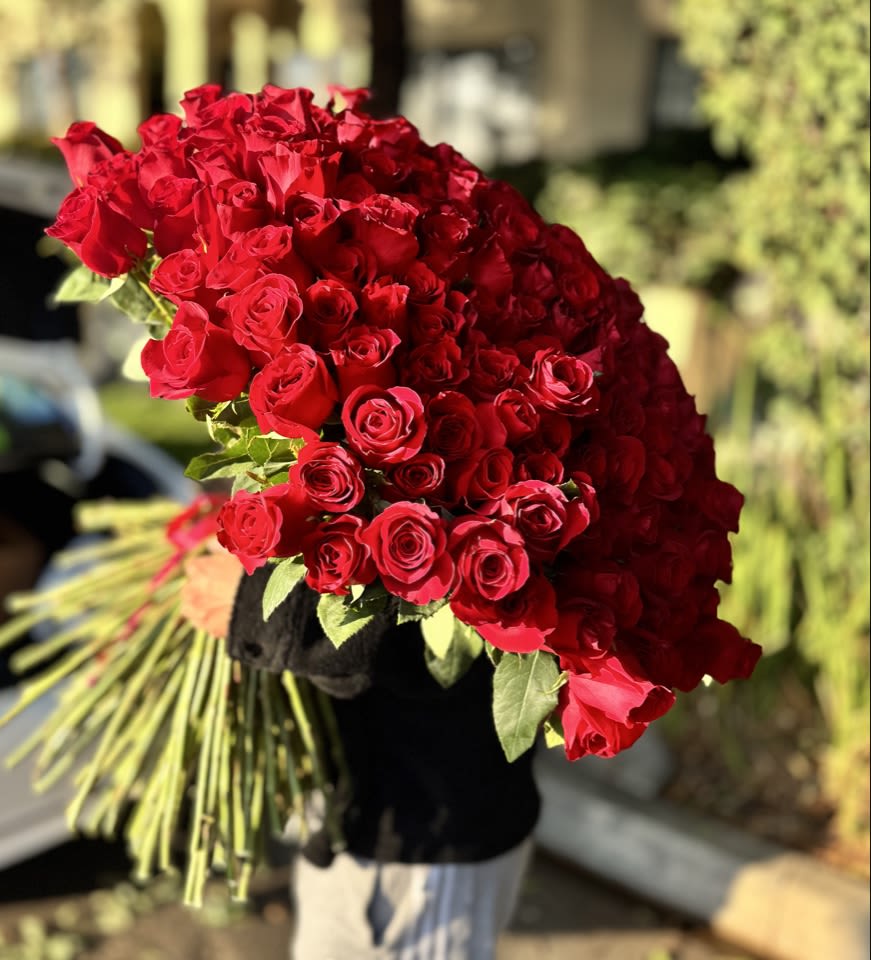 Large bouquet of red roses with long stems